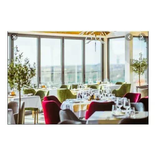 Veštačke masline uz prozor restorana