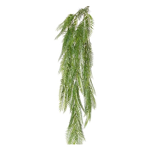 Lozica Pteris 88cm