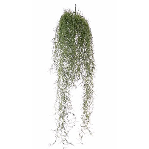 Lozica  75cm UV