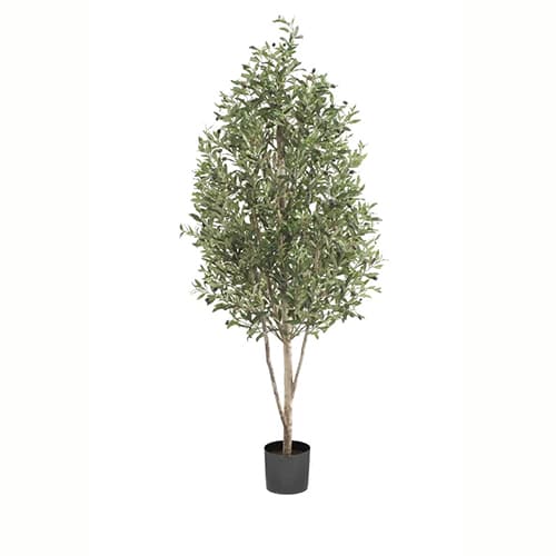 Olive pyramid 170cm