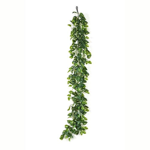 Pothos Garland