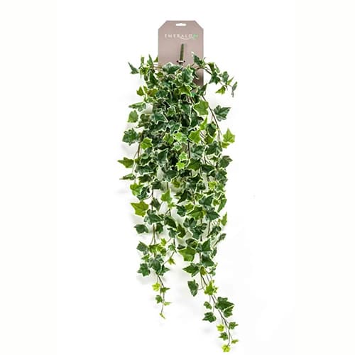 Ivy hanging bush green/white 100cm