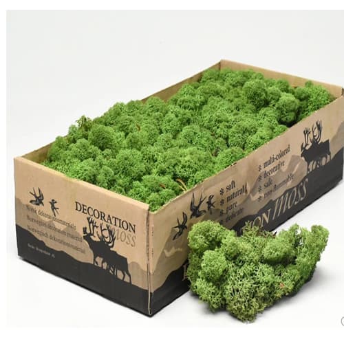 Mahovina srednje zelena 3kg