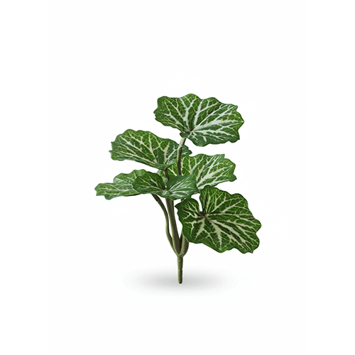 Travica 24cm