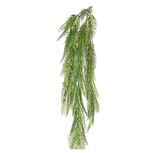 Lozica Pteris 88cm