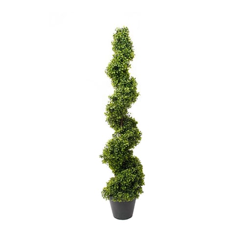 Buxus spirala 125cm