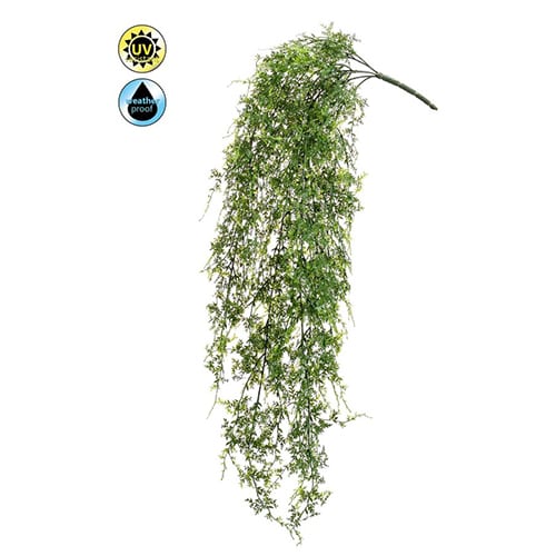 Paprat UV 80cm
