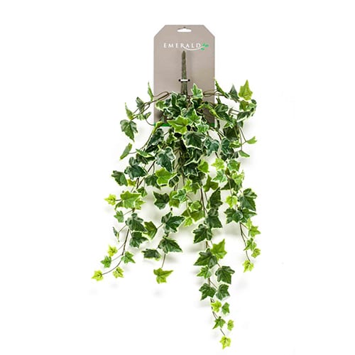 Ivy 70cm zeleno-beli