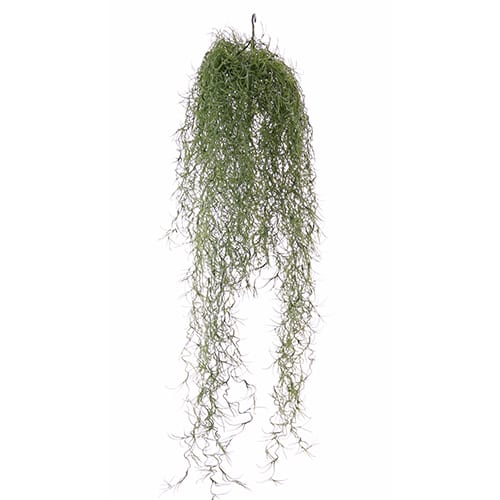 Lozica  75cm UV