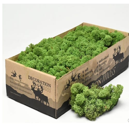 Mahovina srednje zelena 3kg