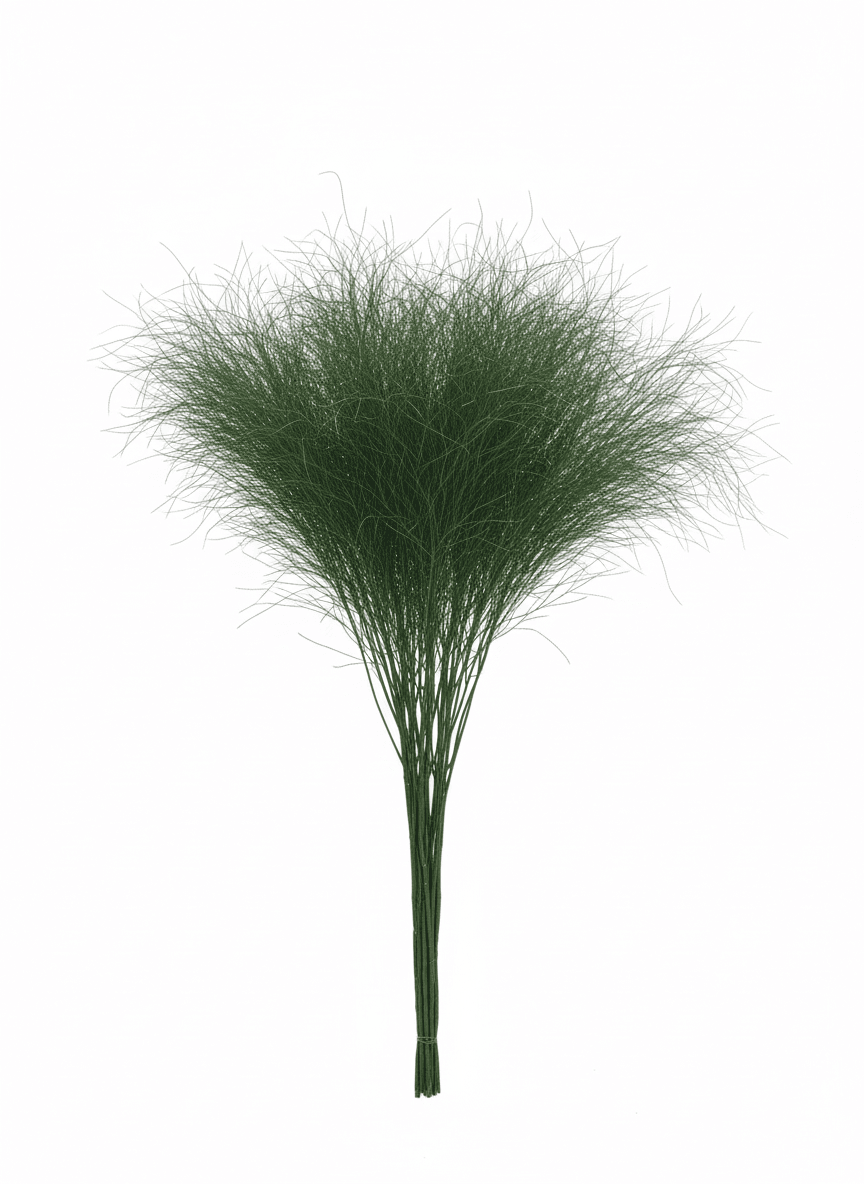 Tiki Fern