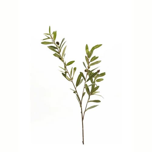 Olive spray x3 80cm green
