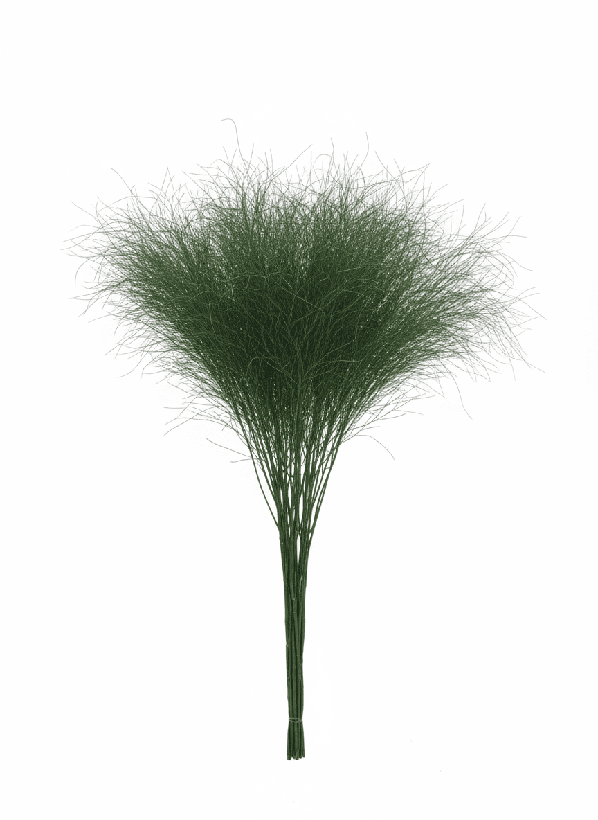 Tiki Fern